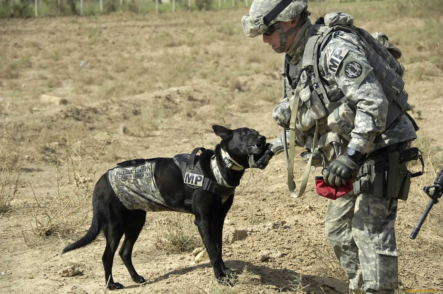 , , , military, soldiers